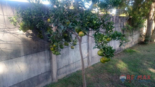 Imagem 13 de 24 de Chácara Com 3 Dormitórios À Venda, 1000 M² Por R$ 850.000,00 - Parque Das Bandeiras - Indaiatuba/sp - Ch0041