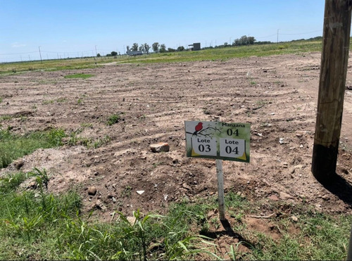 Imagen 4 de 12 de Se Vende Lote En La Ernestina 300 Mts Oportunidad