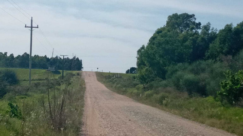 12 Hás. Agrícolas En Puntas De Solis A 250 Mts. Ruta 8