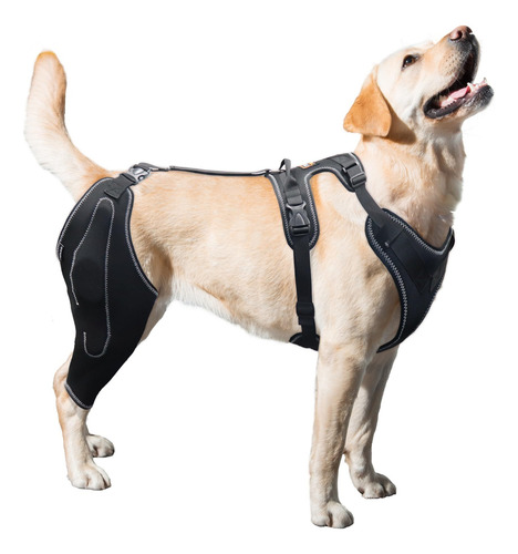 Rodillera Para Perros Lispoo Para Patas Traseras Desgarradas