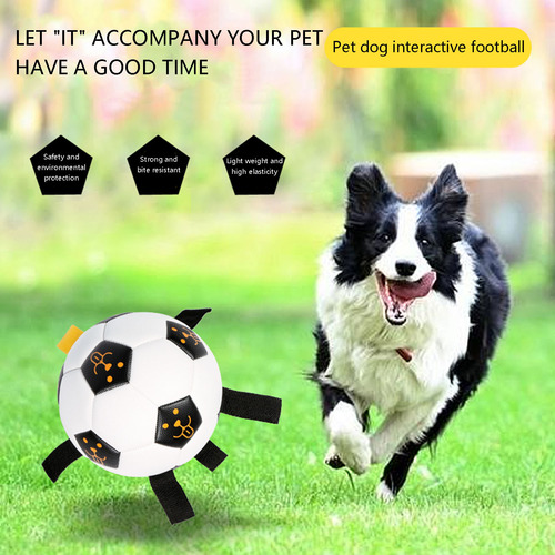 Juguete Interactivo Para Mascotas Al Aire Libre, Entrenamien