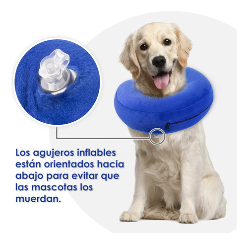 Collar Isabelino For Perros, Cono De Recuperación Inflable
