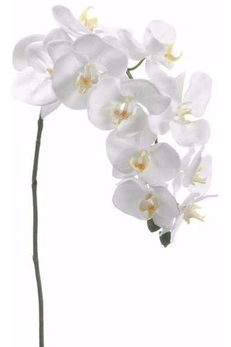 2 Orquidea Artificial Branca Semelhante A Silicone Siliconad | MercadoLivre