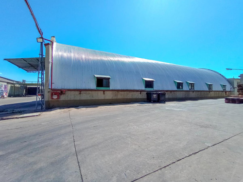 Excelente Depósito De 774 M2 En Alquiler En Predio Cerrado, Villa Adelina.