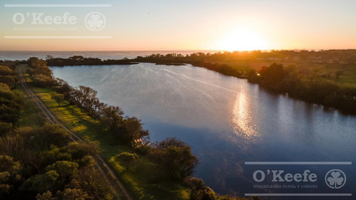 Lote En Venta En Puerto Nizuc - Oportunidad De Inversión En Guillermo Hudson