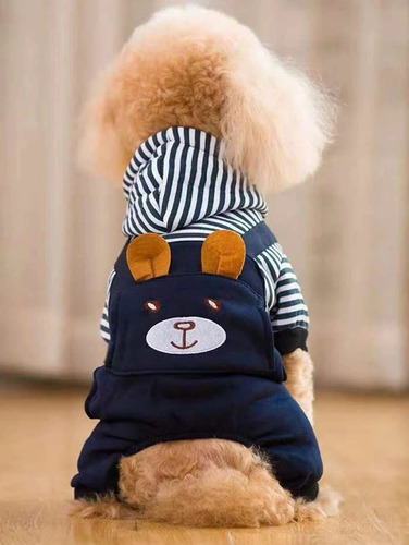 Enterito Gato O Perro Con Diseño De Oso