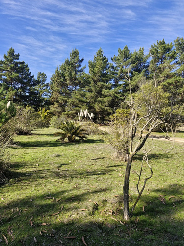 Excelente Sitio Frente A Ruta Mirasol Tunquen
