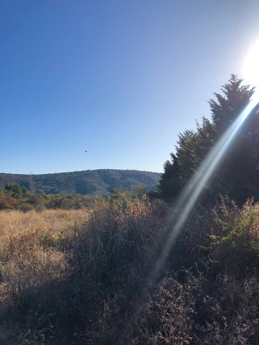 Imagen 2 de 15 de Lote De 1250 M2 En Barrio Los Olivares De Los Hornillos / Traslasierra Con Escritura