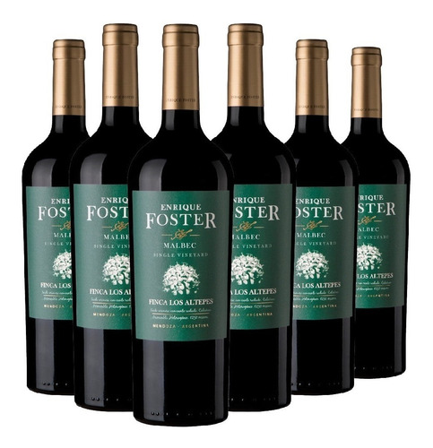 Vino Foster Single Vineyard Los Altepes Caja 6x750ml