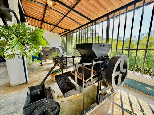 Se Vende Finca 19 Hectareas San Casimiro