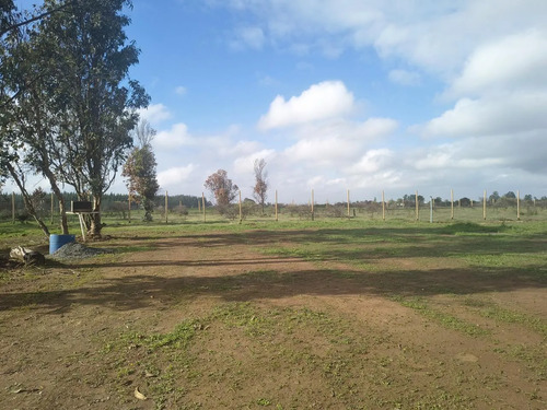 Parcela De 5000 Metros Con Casa San Nicolas
