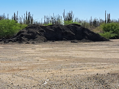 03p Fundo De Mas De 1.500 Has Con Materia Prima Para Construcción. El Recreo