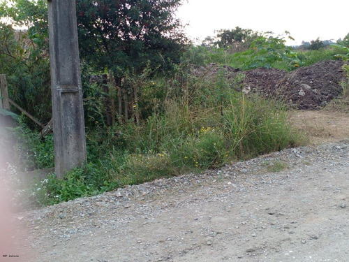 Imagem 8 de 10 de Terreno Para Venda Em Piraquara, Parque Das Araucárias - 3375_1-2413913