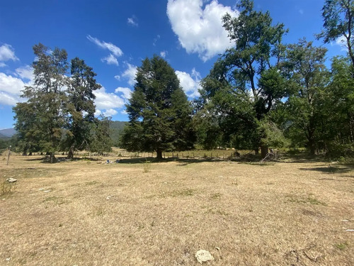 Parcela En Venta De 5000 M2 Con Dos Casas Nuevas
