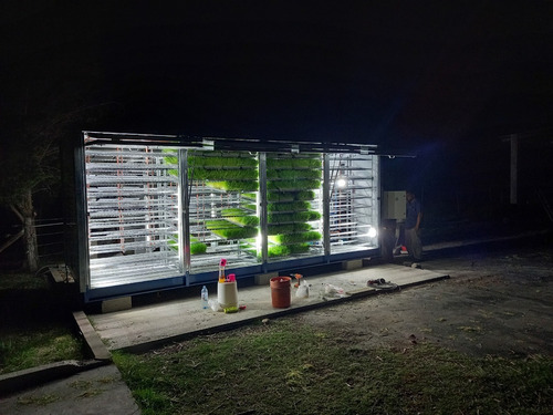 Imagen 2 de 6 de Módulo Productor De Forraje Verde Hidropónico Fh 300
