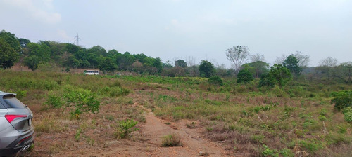 Terreno En Renta De Terreno A Pie De Carretera En Sebastopol Tuxtepec Oaxaca
