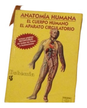El Cuerpo Humano El Aparato Circulatorio 