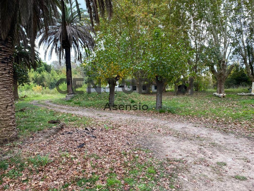 Imagen 8 de 11 de Lote Para Desarrollo
