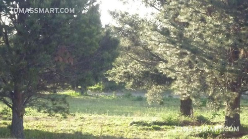 Imagen 8 de 10 de Lote En Country Pinar Del Sol, Bariloche