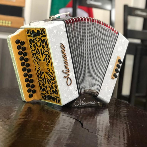 Acordeon 8 Baixos Minuano 8/21 Branca Revestida Celuloide