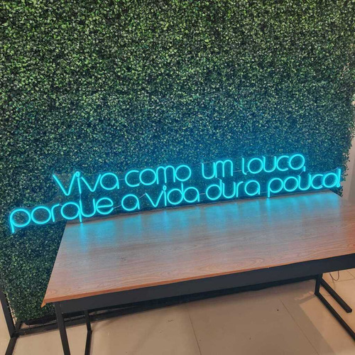Painel Neon Led - Viva Como Um Louco 28x160cm