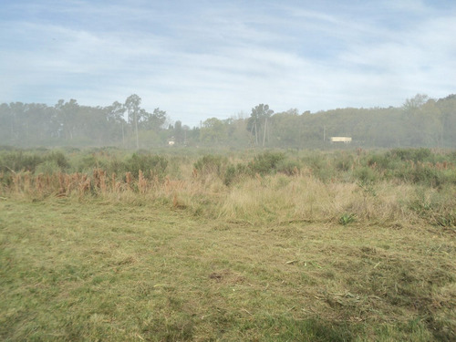 Imagen 2 de 7 de Terreno En Guernica Pte. Peron (4630m2)
