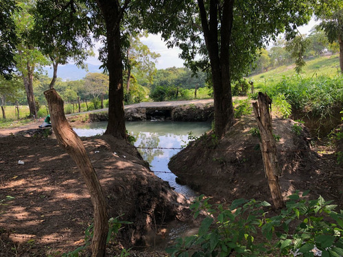 Terreno Campestre Con Servicios Zona Libramiento Sur Nuevo