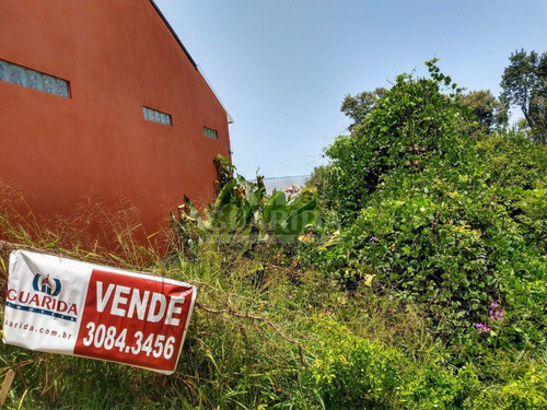 Imagem 3 de 6 de Terreno - Belem Novo - Ref: 198753 - V-198865