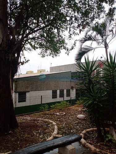 Imagem 9 de 26 de Apartamento Para Venda E Locação Em Campinas - Ap03177 - 69274041