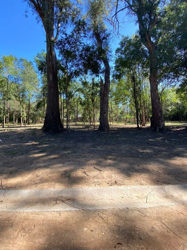 Imagen 3 de 3 de Gran Terreno A La Venta En Tortuguitas