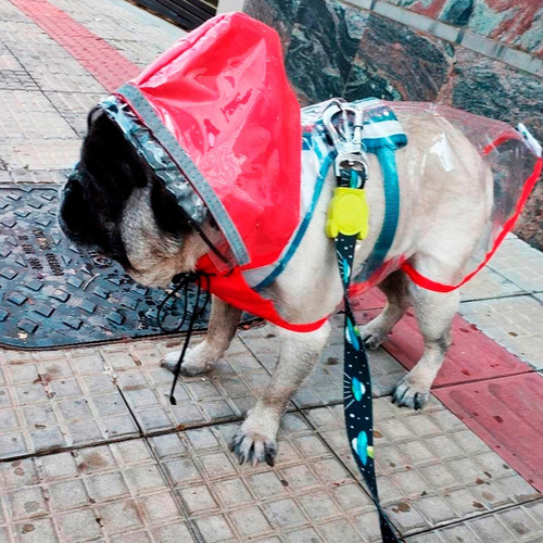 Capa De Chuva Para Cachorro Yorkshire