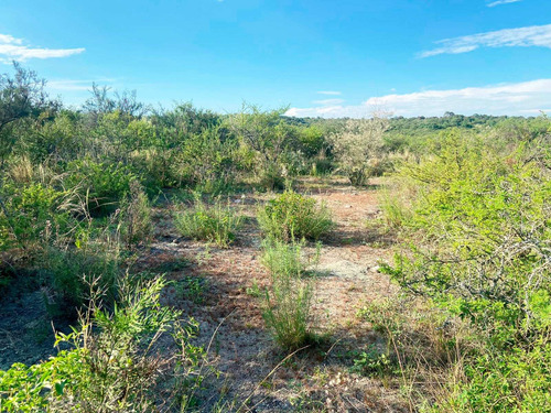 Imagen 2 de 5 de Venta Lote De 868m2 Ubicado En Bialet Massé