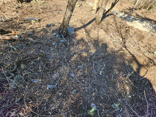 Venta Lote Iris I Muy Plano Y De Bonita Vista Además De Doble Frente En Doble Calle Con Proyecto Incluído En Fracc Rancho San Diego Ixtapan De La Sal Edomex