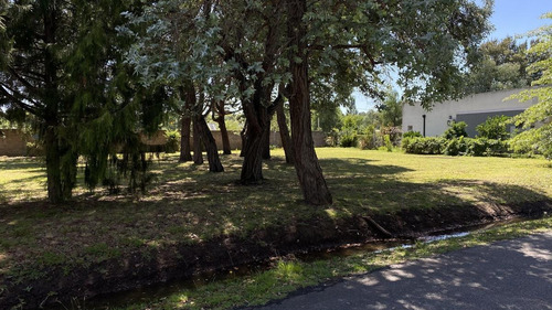 Terreno - Lomas De San Antonio