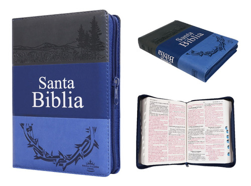 Caja 20 Biblias Reina Valera 60 Letra Grande Cierre Indice