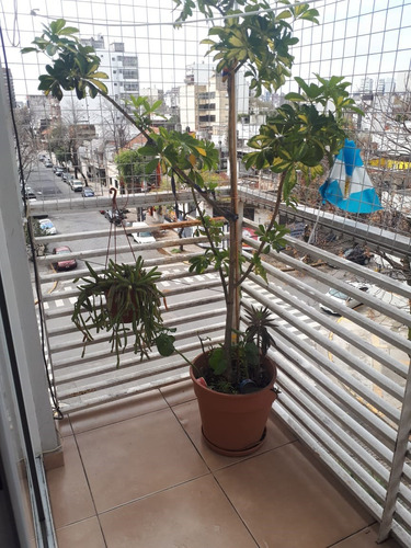 Imagen 3 de 14 de Duplex 2ambientes, Balcon Terraza Muy Lindo