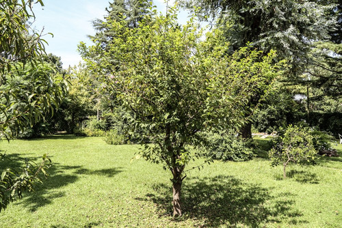 Venta Dueño Casa Quinta No Permuta..oportunidad Por Viaje