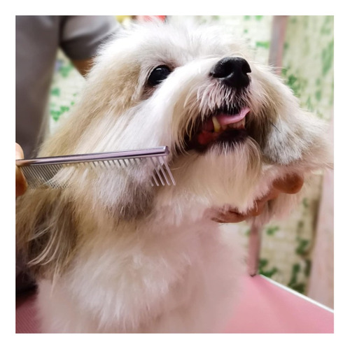 Kit Tijeras De Aseo Para Perros Con Puntas Redondas Faigeo