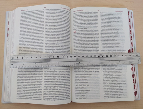 Libro La Biblia Joven Catolica - Pasta Flexible Plastico