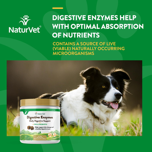 Suplementos Naturvet Enzimas Digestivas Con Probioticos