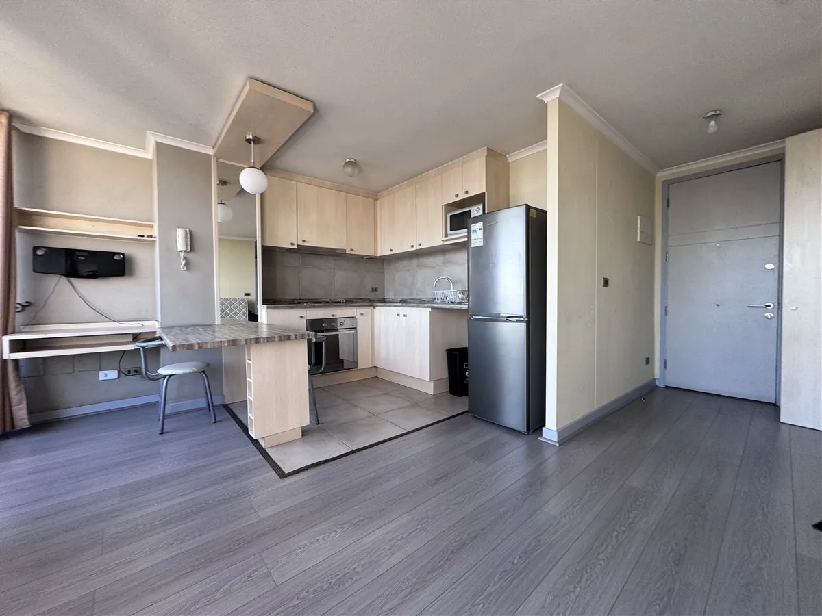 Imagen 3 de 30 de Departamento En Venta De 2 Dorm. En Santiago