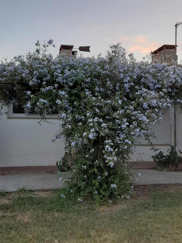 Vendo Chacra En Colonia Uruguay Gran Oportunidad