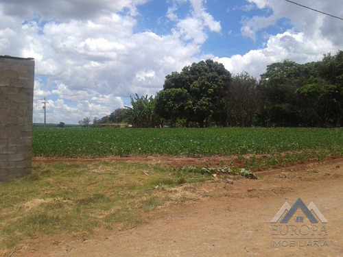 Imagem 4 de 8 de Terreno À Venda, 2837 M² Por R$ 800.000,00 - Estância Delaville - Londrina/pr - Te0063
