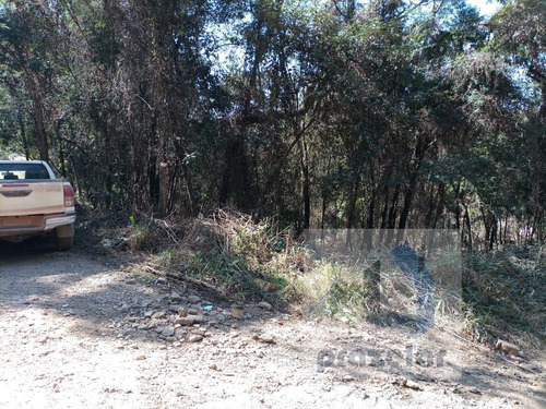 Imagem 11 de 14 de *** Lindo Terreno ***