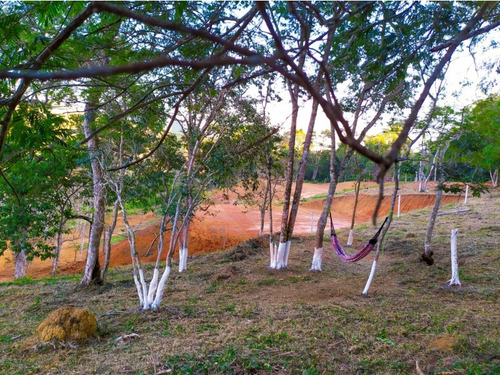 Imagem 16 de 20 de Terreno Jacareí - Sp - 2094