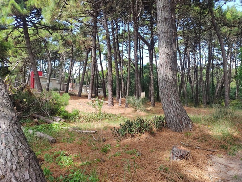 Imagen 6 de 6 de Lote Con Muy Buena Ubicación, Apto Para 2 Unidades Amplias, En Mar Azul.