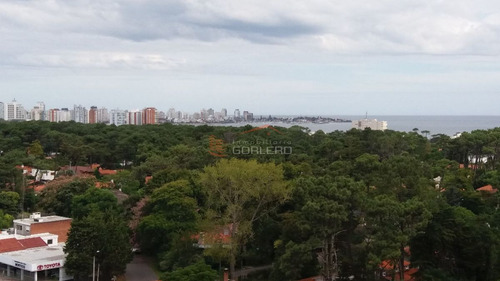 Imagen 6 de 30 de Apartamento En Venta Y Venta En Punta Del Este, Av. Roosevelt.