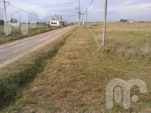 Imagen 6 de 11 de Venta Terreno -arana