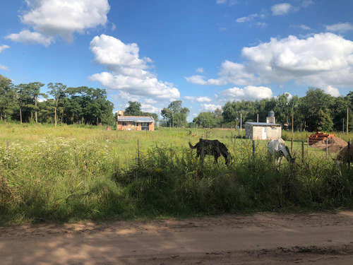 Lote 600m2 Mechita Bragado