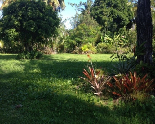 Imagem 22 de 22 de Terreno - Pk399 - 32011838